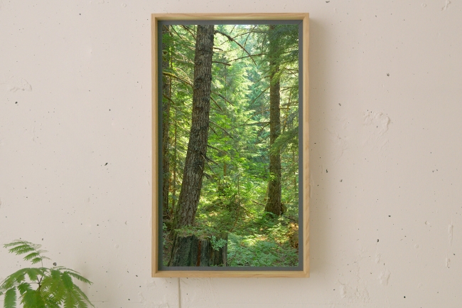 Atmoph Window