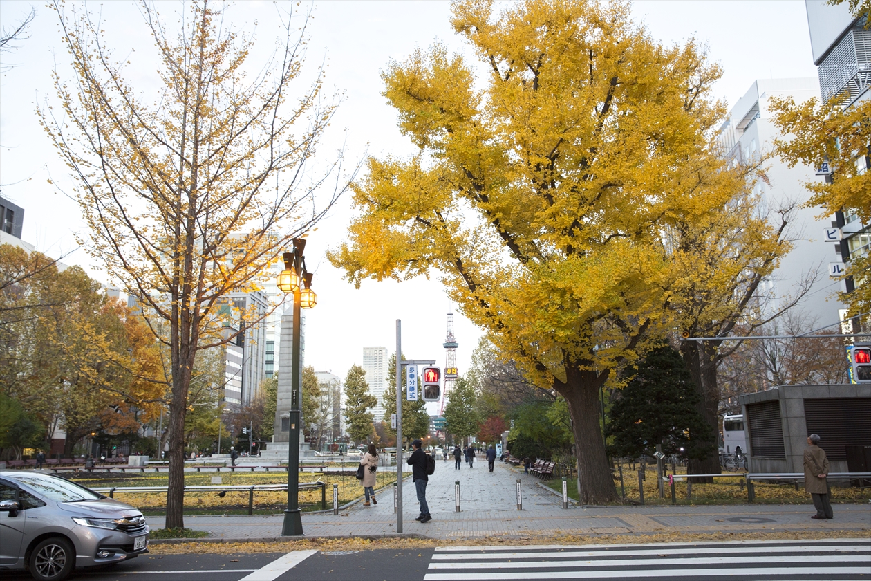 firstconnect_05_大通公園