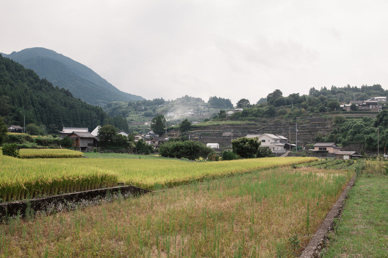 えんがわ_02_オフィス周辺田園風景