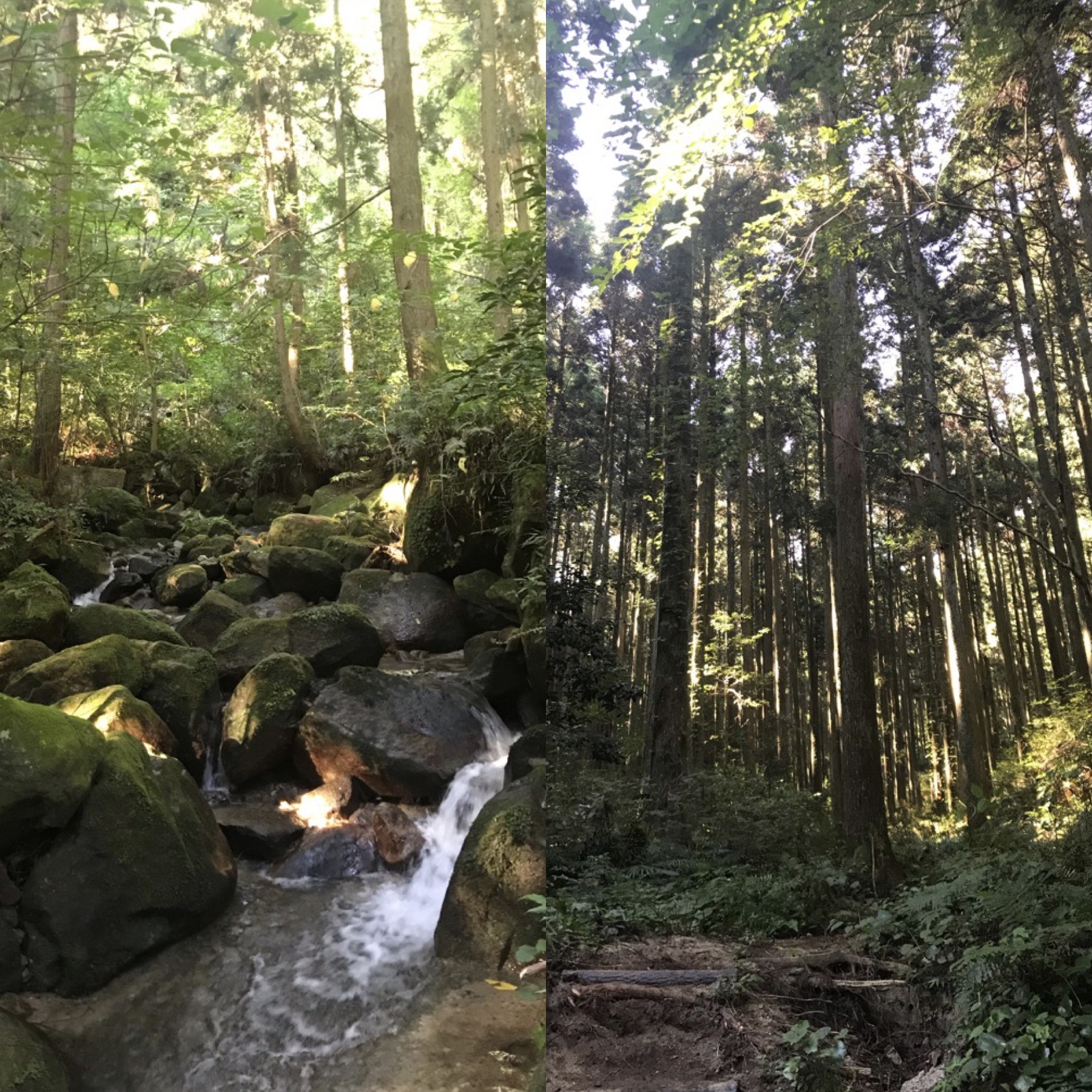 山奥に一軒家を借りたメンバーの、日常の散歩風景。
都心ではなかなか見られない、豊かな自然に囲まれている。