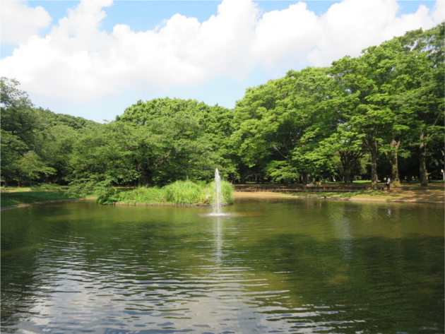 代々木公園
