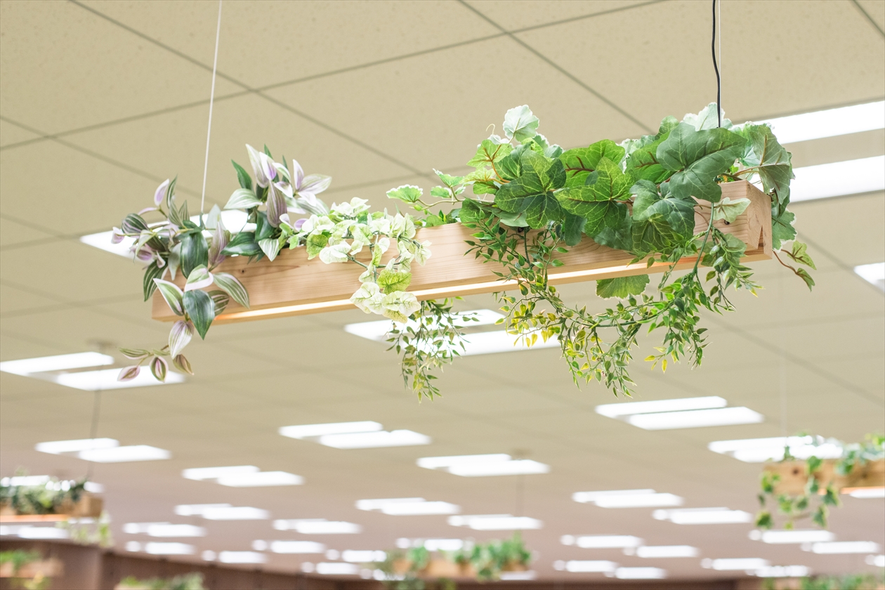 img_realive_植物