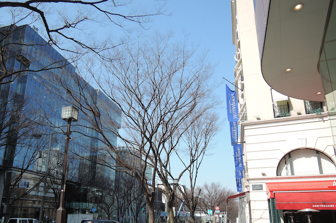 表参道の雰囲気