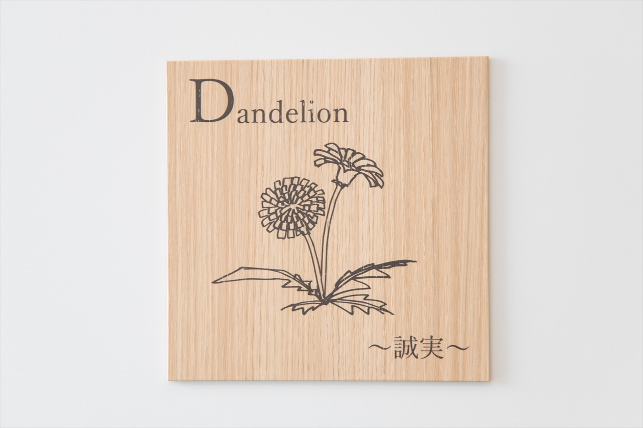 welks_Dandelion